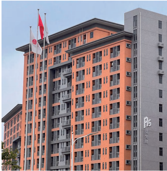 国际人才培训中心2025年招生简章